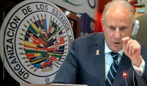 Javier González Olaechea criticó ante la OEA elecciones en Venezuela: "Este proceso nació fraudulento"