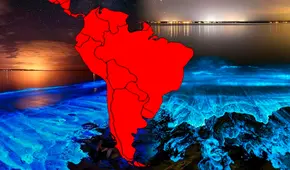 El único país de SUDAMÉRICA donde el MAR BRILLA y alberga una especie en peligro de extinción