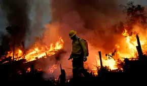 Incendios forestales en Brasil habrían sido provocados: sospechosos fueron arrestados por "acciones de criminales" Incendios forestales en Brasil habrían sido provocados: sospechosos fueron arrestados por "acciones de criminales"