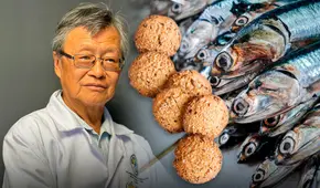 Biólogo de la Cantuta elabora galletas contra la anemia a base de anchoveta: "El nivel de proteínas es insuperable"