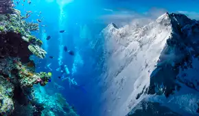 El país de Sudamérica con montañas submarinas que superarían el tamaño de la cordillera de los Andes El país de Sudamérica con montañas submarinas que superarían el tamaño de la cordillera de los Andes
