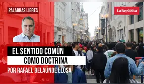 El sentido común como doctrina, por Rafael Belaúnde Llosa