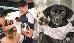 Campaña de veterinaria gratis en estos distritos de Lima este 14 de septiembre, horario y ubicación