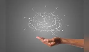 Este es el mejor suplemento natural para mejorar la memoria, según Harvard: también previene el cáncer y Alzheimer