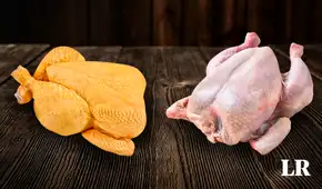 ¿Pollo amarillo o blanco?, ¿cuál es el más saludable? Esta es la principal diferencia