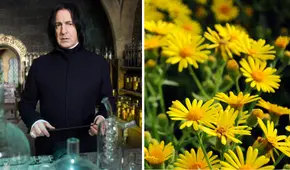 De esta manera puedes elaborar un ramo de FLORES AMARILLAS de papel para regalar HOY 21 de septiembre