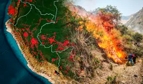 Incendios forestales en Perú 2024: Gobierno declara estado de emergencia en Amazonas, Ucayali y San Martín tras la pérdida de 19.000 hectáreas