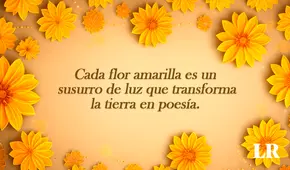 Imágenes emotivas y bonitas de FLORES AMARILLAS con frases para dedicar HOY 21 de septiembre