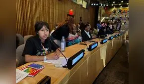 “Incendios están acabando con nuestros alimentos y la Amazonía”, dice escolar peruana ante la ONU