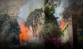 Alarma por incendio forestal en Lima: siniestro vuelve a reactivarse en Chosica y bomberos piden apoyo a Sedapal Alarma por incendio forestal en Lima: siniestro vuelve a reactivarse en Chosica y bomberos piden apoyo a Sedapal