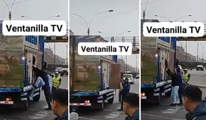 Paro de transportistas: camiones de carga hacen colectivo en Ventanilla y cobran hasta S/3.00 por ruta Paro de transportistas: camiones de carga hacen colectivo en Ventanilla y cobran hasta S/3.00 por ruta