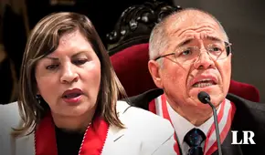 Juez César San Martín niega vínculos con fiscal Elizabeth Peralta: "No tendría por qué venir a agradecerme"