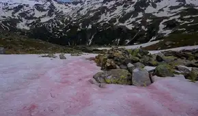 La montaña de California que tiene nieve rosa con olor sandía y es una de las atracciones turísticas de Estados Unidos