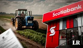 Scotiabank: agricultor señala que no le dejaron acogerse a leyes y su deuda se sextuplicó por mora