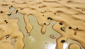 El Sahara, el desierto cálido más grande del mundo, se inundó por primera vez en décadas debido a un raro fenómeno