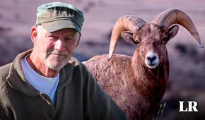 El granjero de 81 años que terminó preso por intentar crear ovejas gigantes en Estados Unidos