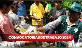 Senasa lanza convocatoria laboral en Áncash, Cajamarca, Lima y Pasco con sueldos de hasta S/. 4.000: ¿cómo postular?