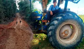 Fiscalía pide más de 8 años de prisión efectiva para menonitas, grupo religioso que deforesta la Amazonía