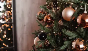 Adiós al clásico pino con adornos dorados: lo de hoy son estos elementos para decorar en Navidad 2024