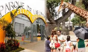 Ingresa gratis al Parque de las Leyendas por el Día de los Muertos: cuáles son los requisitos y actividades que se realizarán