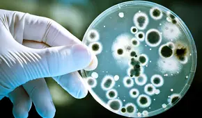 Científicos descubren cómo una bacteria se vuelve resistente a los antibióticos y encuentran nuevos tratamientos