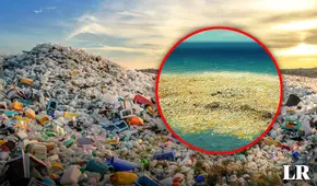 Frente al mar de Perú existe una enorme isla de basura, del tamaño de México, que contamina la vida marina: también afecta a Chile
