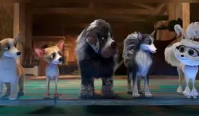 Ya está en los cines 'Aventuras Caninas: El Misterio de la Corona'