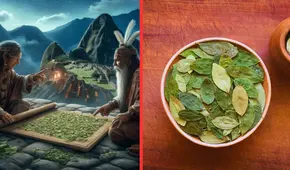 La antigua costumbre en Perú de chacchar hojas de coca: ¿Cuánto tiempo lleva practicándose?