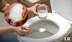 ¿Es recomendable echar sal en el inodoro todas las noches? Estas son las 5 razones de su efecto y qué cantidad se debe usar