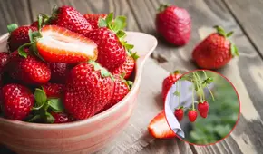 Los puntos de las fresas esconden una función especial, ¡y no son semillas!: descubre su función