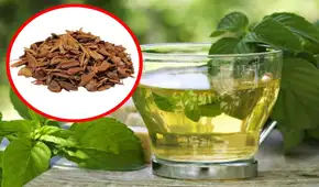 10 secretos milenarios de los Andes: conoce las plantas medicinales usadas para combatir enfermedades y fortalecer tu sistema inmunológico