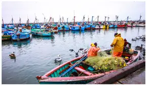 Tardanza de PRODUCE en reglamentar la ley de pesca artesanal favorece a la pesca ilegal Tardanza de PRODUCE en reglamentar la ley de pesca artesanal favorece a la pesca ilegal