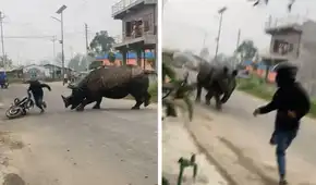 Motociclista se salva de ser embestido por rinoceronte y usuarios quedan atónitos: “¿Jumanji?”