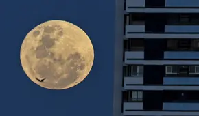 Adiós a la temporada de superlunas: hoy es la última luna llena más brillante del 2024