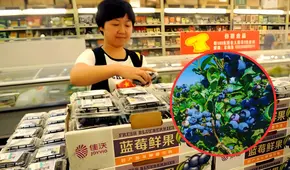 La fruta peruana que es solicitada en China, donde se venden más de 20.000 cajas al día: Perú la exporta por US$247 millones