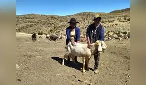Huarochirí: comunidades campesinas que serían afectadas por nueva carretera central piden información certera