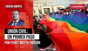Unión civil: un primer paso, por Percy Mayta-Tristán