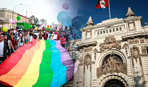 Unión civil y matrimonio igualitario: la diferencia que evita la inclusión plena de las parejas del mismo sexo