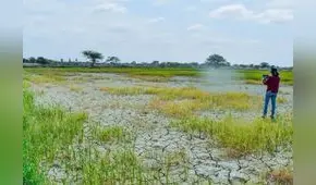 Crisis hídrica en Piura: “Solo esperamos que Dios nos dé lluvias”