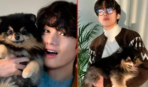Taehyung de BTS se despide emotivamente de su mascota: “Ha emprendido un largo viaje hacia las estrellas caninas” Taehyung de BTS se despide emotivamente de su mascota: “Ha emprendido un largo viaje hacia las estrellas caninas”