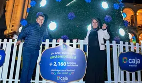 Caja Arequipa ilumina la Navidad con árbol sostenible