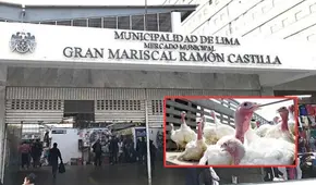 Mercado Central ofrece pavos de hasta 22 kilos con pago a cuotas por Navidad