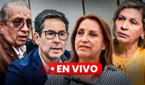 Resumen de las noticias dominicales del 8 de diciembre: reportaje de Dina Boluarte, fiscal Elizabeth Peralta y Chibolín Resumen de las noticias dominicales del 8 de diciembre: reportaje de Dina Boluarte, fiscal Elizabeth Peralta y Chibolín