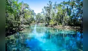 El paraíso tropical en California que debes visitar en 2025: el mejor de EE. UU. por su conexión con la naturaleza