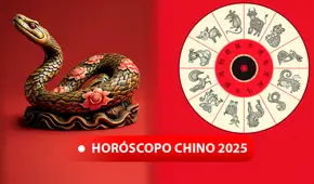 PREDICCIONES | Horóscopo Chino 2025 por Ludovica Squirru: ¿qué animal tendrá mayor suerte en el amor, salud y dinero? PREDICCIONES | Horóscopo Chino 2025 por Ludovica Squirru: ¿qué animal tendrá mayor suerte en el amor, salud y dinero?