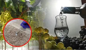 Estos son los documentos entregados a la Unesco que ratifican el origen del pisco peruano: el más antiguo es de 1587
