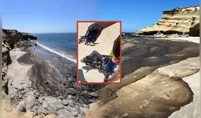 Derrame de petróleo en playas de Talara, Piura: OEFA verifica acciones de respuesta de Petroperú en Lobitos