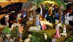 Exportación de nacimientos peruanos alcanzó los US$545.755: ¿qué países son los mayores compradores?