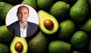 Nuevo presidente de ProHass resalta el impacto de la palta peruana a nivel mundial: "Se ha convertido en un jugador muy importante"