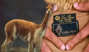 Loro Piana aceptó no tener control en pagos a recolectores de lana en Perú: empresa fue acusada de "explotación"
